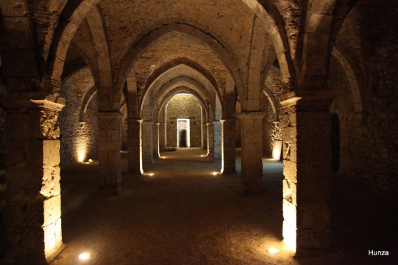 ob_902b78_provins-salle-basse-de-l-hotel-dieu